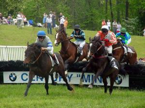 Steeplechase_(2018245)