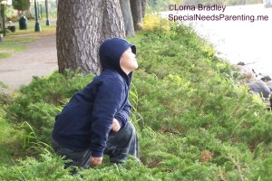 David as Luke Skywalker