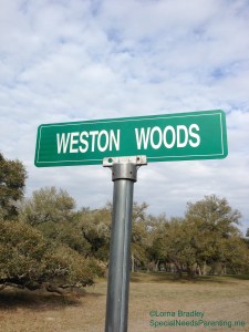 Weston Woods Watermarked