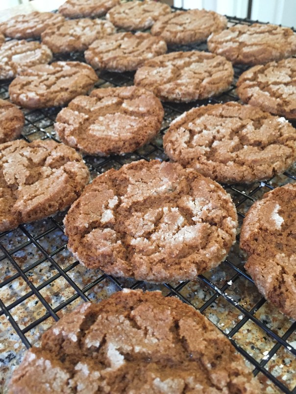 Ginger Cookies